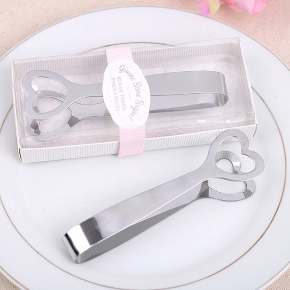 Stainless Steel Clips