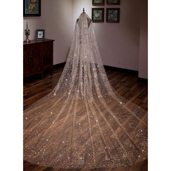 One-tier Cut Edge Cathedral Bridal Veils With Lace